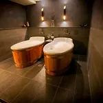 Hotel Lh Dvorak Congress & Wellness Tabor