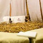 Hotel Lh Dvorak Congress & Wellness 4*