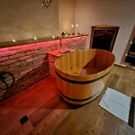 Lh Dvorak Congress & Wellness Hotel 4*