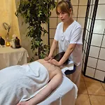 Lh Dvorak Congress & Wellness 4* Tabor