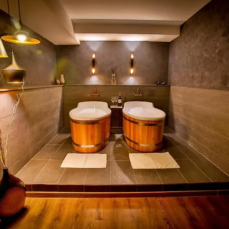 Lh Dvořák Congress&wellness Hotel Tábor
