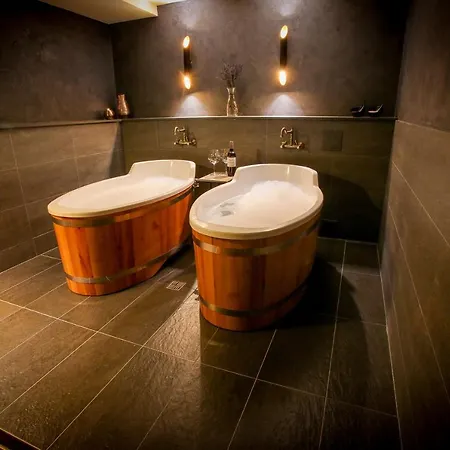 Hotel Lh Dvorak Congress & Wellness Tábor