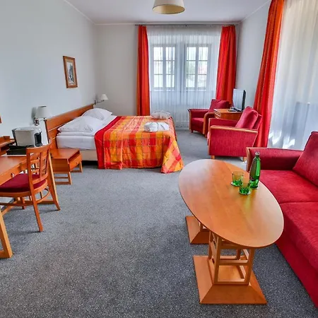 Hotel Lh Dvořák Congress&wellness Tábor