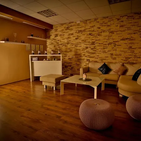 Lh Dvořák Congress&wellness Hotel Tábor