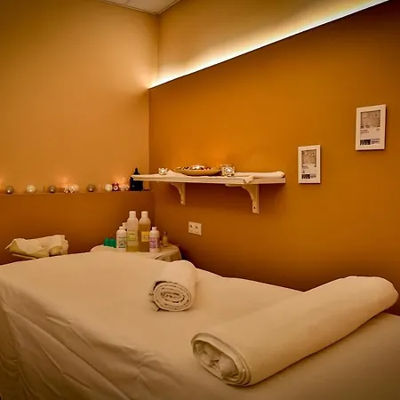 Lh Dvořák Congress&wellness Tábor