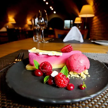 Hotel Lh Dvorak Congress & Wellness