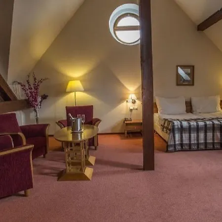 Hotel Lh Dvořák Congress&wellness 4*