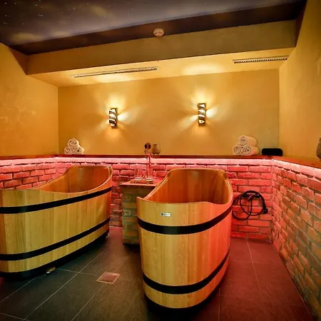Hotel Lh Dvorak Congress & Wellness
