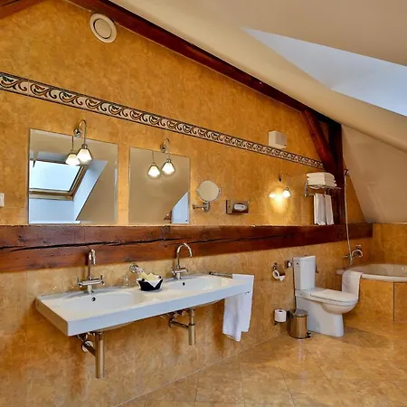 Hotel Lh Dvorak Congress & Wellness