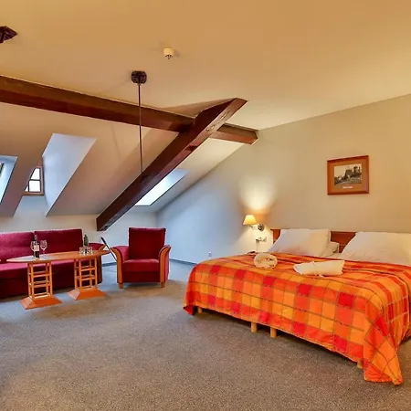 Lh Dvořák Congress&wellness 4* Tábor