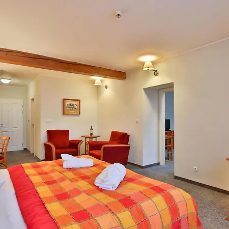 Lh Dvořák Congress&wellness 4* Tábor
