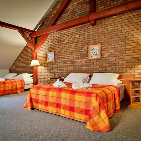 Hotel Lh Dvořák Congress&wellness 4*