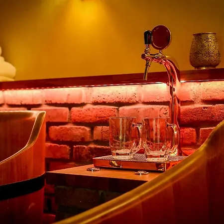 Hotel Lh Dvorak Congress & Wellness