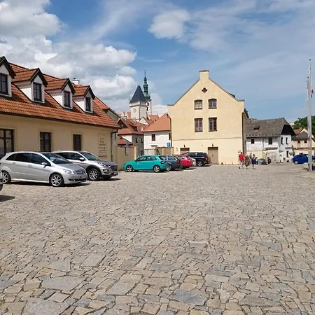 Lh Dvořák Congress&wellness Hotel 4*