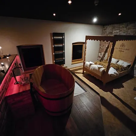 Hotel Lh Dvorak Congress & Wellness