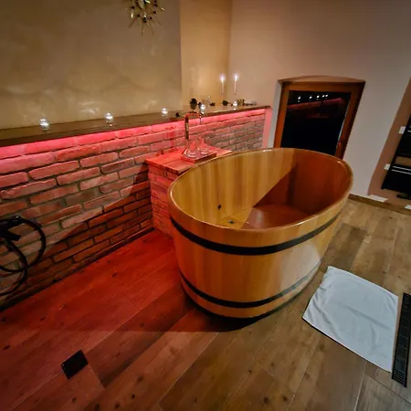 Lh Dvorak Congress & Wellness Hotel 4*