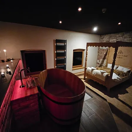 Lh Dvorak Congress & Wellness 4* Tabor