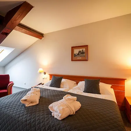 Hotel Lh Dvorak Congress & Wellness 4*