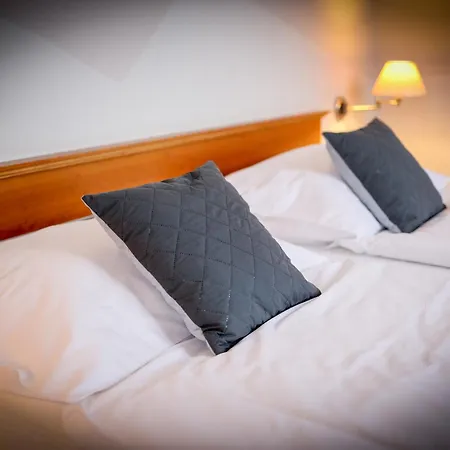 Lh Dvorak Congress & Wellness 4*