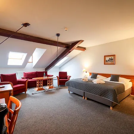 Lh Dvorak Congress & Wellness Hotel 4*