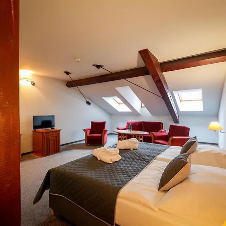 Lh Dvorak Congress & Wellness 4*