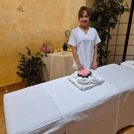 Lh Dvorak Congress & Wellness Hotell Tábor
