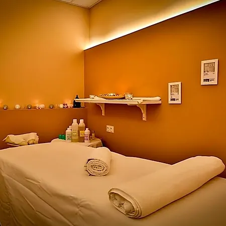 ホテル Lh Dvorak Congress & Wellness 4*