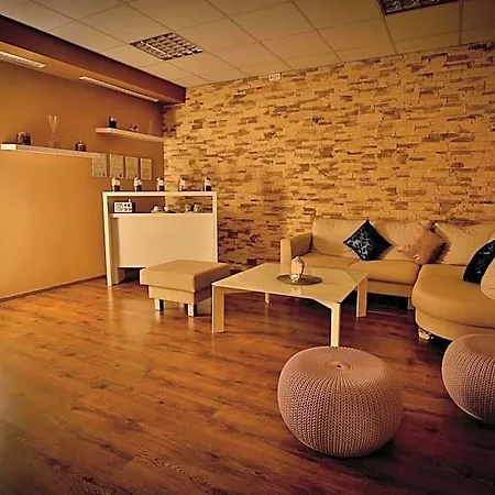 德沃夏克塔博尔lh会议及康体酒店 酒店 塔博尔