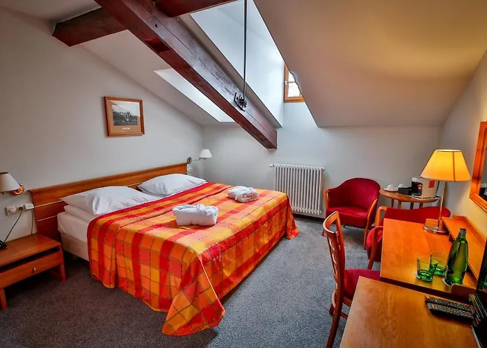 Lh Dvorak Congress & Wellness