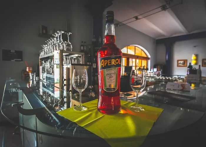 Lh Dvorak Congress & Wellness