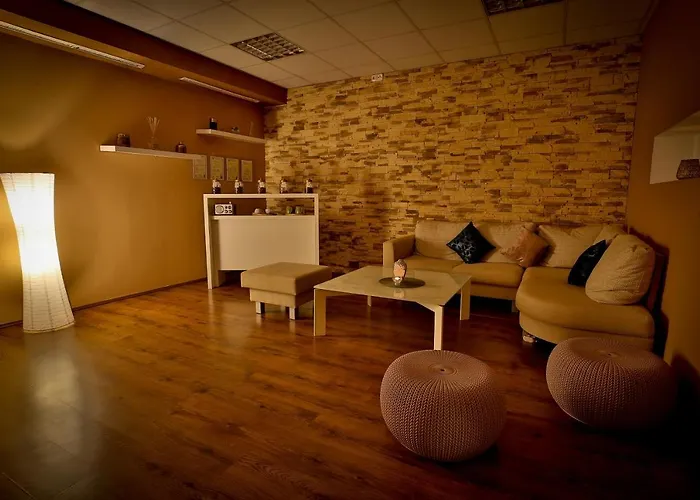 Lh Dvorak Congress & Wellness Ξενοδοχείο Tábor