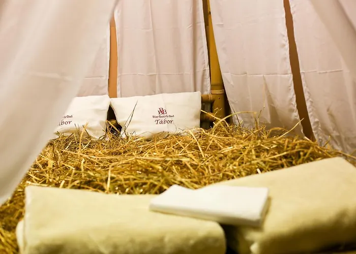 فندق Lh Dvorak Congress & Wellness 4*