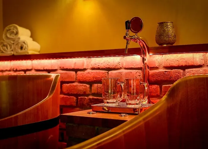 فندق Lh Dvorak Congress & Wellness