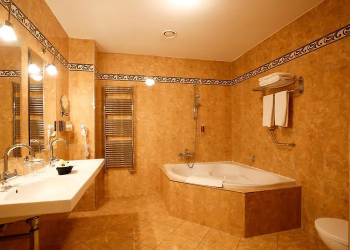 Lh Dvorak Congress & Wellness فندق